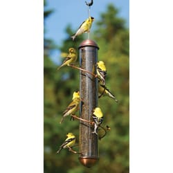 Songbird Essentials Goldfinch 2.5 qt Copper Tube Bird Feeder
