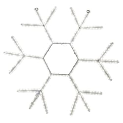 Celebrations LED Warm White Crystal Snowflake 23 in. Hanging Decor