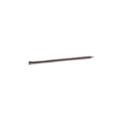 Grip-Rite 8D 2-1/2 in. Finishing Steel Nail Brad Head 6 oz