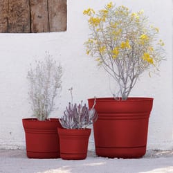 Bloem Saturn 12.75 in. H X 14.5 in. W Plastic Traditional Planter Burnt Red