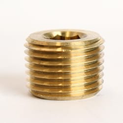 ATC 1/2 in. MPT Brass Counter Sunk Plug