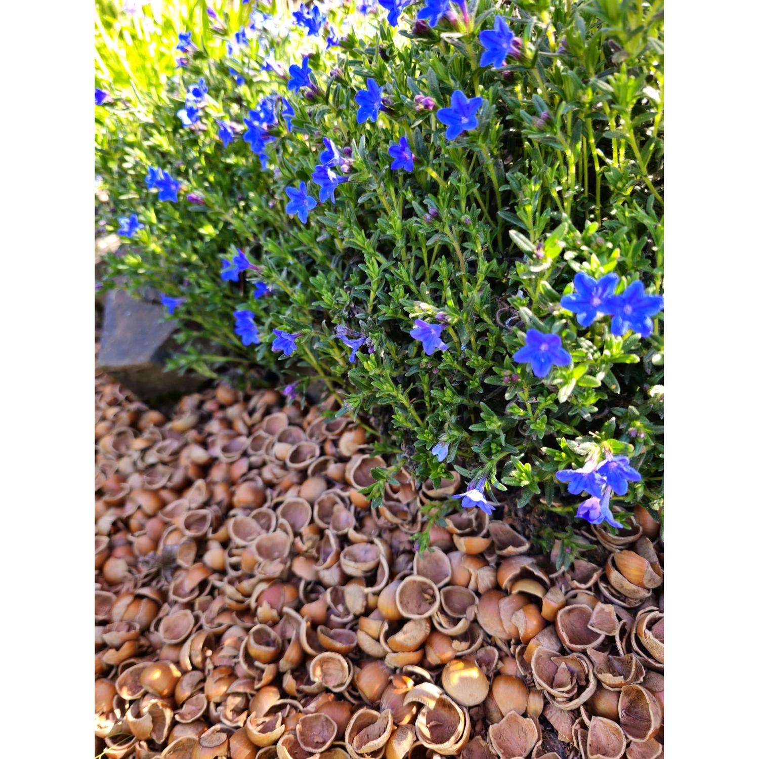 小物 eaphi total lace mulch way cape Bagged Mulch | Page 2 of 2 | Van Putte Gardens