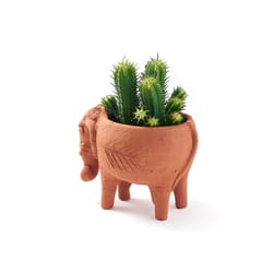 Matr Boomie Rakshana 5 in. H X 4 in. W X 4 in. D Clay Elephant Planter Terracotta