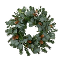 Celebrations Home 24 in. D Wreath