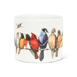 Abbott 6.5 in. D Ceramic Birds Planter Multicolored