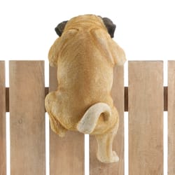 Summerfield Terrace Brown Polyresin 15 in. H Hanging Buddy Pug Wall Hanging Decor