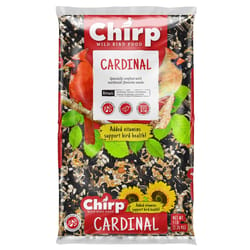 Chirp Cardinal Black Oil Sunflower Wild Bird Food 5 lb