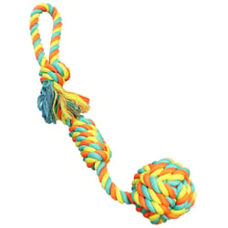 Chomper Assorted Rope/Rubber Rope Dog Tug Toy Large 1 pk