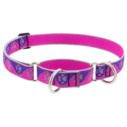 LupinePet HighLights Pink Paws Nylon Dog Martingale