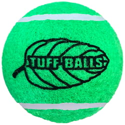 Petsport Tuff Balls Green Polyster/Rubber Mint Tennis Balls 2 pk