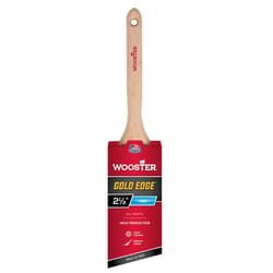 Wooster Gold Edge 2-1/2 in. Angle Paint Brush