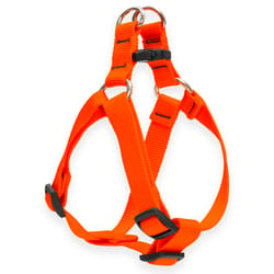 LupinePet Basic Solids Blaze Orange Blaze Orange Nylon Dog Harness