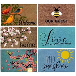 DHTG 18 in. W X 28 in. L Assorted Spring Coir Door Mat