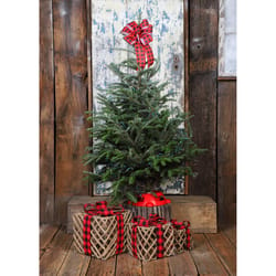 Wishon Evergreens Green Fraser Fir Plastic Tree