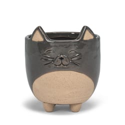 Abbott 5 in. H Stoneware Cat Planter Gray