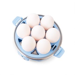 Rise by Dash Blue Egg Cooker