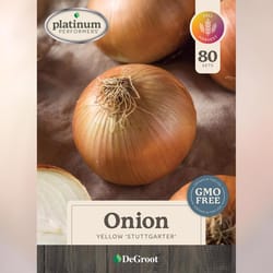 DeGroot Platinum Performers Stuttgarter Onion Sets Bulb 80 pk