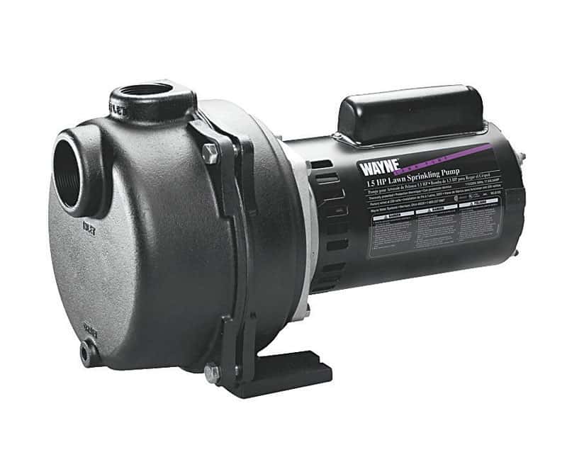 Wayne Cast Iron Sprinkler Pump 11/2 hp 2900 gph Ace Hardware