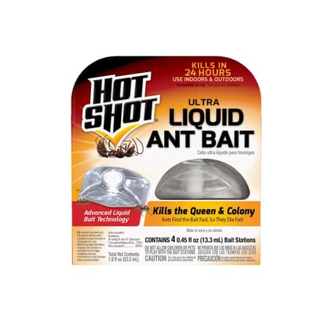  Hot Shot Ant Bait (Pack of 2) : Patio, Lawn & Garden