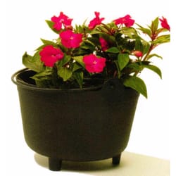 Novelty 12 in. H X 15 in. D Plastic Kettles Planter Black