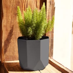 Bloem Tuxton 8.125 in. H X 8.25 in. W Resin Geometric Planter Charcoal