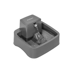 PetSafe Drinkwell Gray Plastic 64 oz Drinking Fountain For All Pets