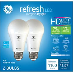 GE A19 E26 (Medium) LED Bulb Daylight 75 Watt Equivalence 2 pk