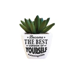 Sentiment Succulents 4 in. H X 2.25 in. L Multicolored Plastic Planter