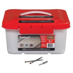 FastenMaster TrapEase No. 20 X 2-1/2 in. L Tiki Torch Torx Ttap Star Head Composite Deck Screws 1050