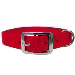 PDQ Red Single Web Nylon Dog Adjustable Collar Large