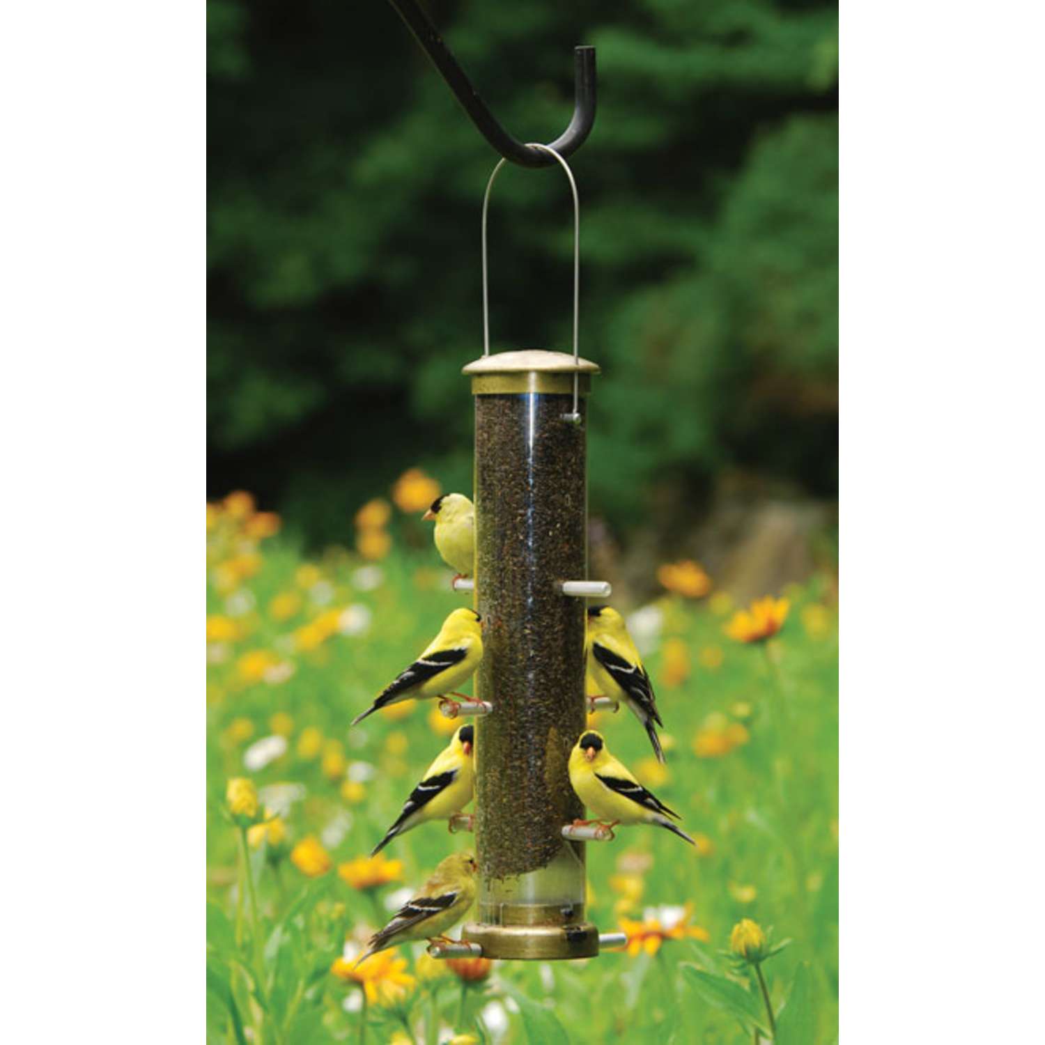 Cole's Nifty Niger Wild Bird and Finch 1.25 Polycarbonate Bird Feeder 8