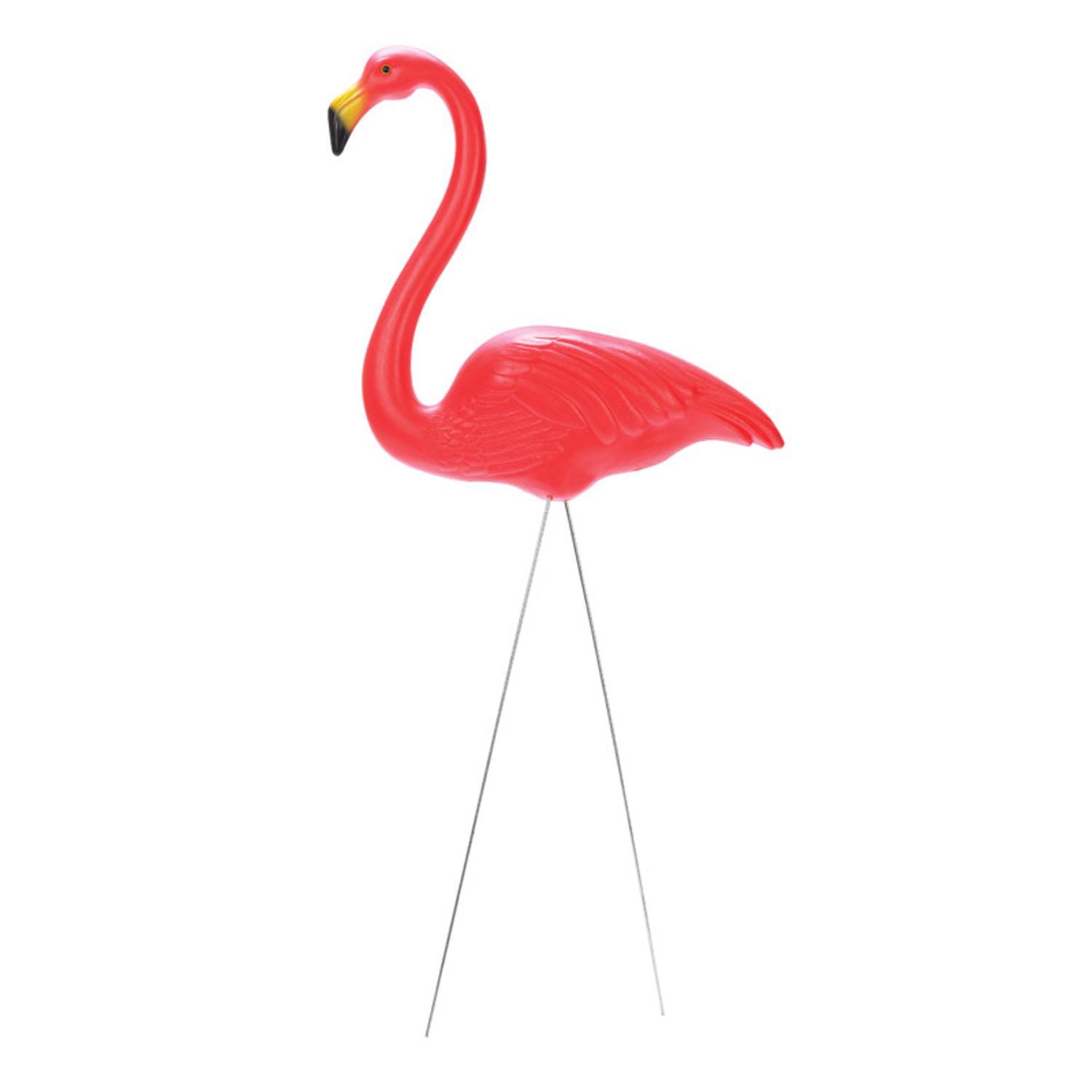 flamingo♡ 61X0AJpELkL._UF894,1000_QL80_.jpg