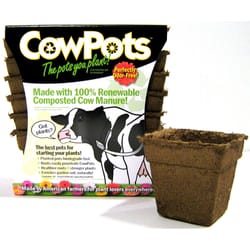 CowPots 1 Cells 4.38 in. H X 4.5 in. W X 2.88 in. L Seed Starting Pot 12 pk