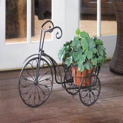 Summerfield Terrace Charming Tricycle 14.13 in. H Black Iron Plant Stand