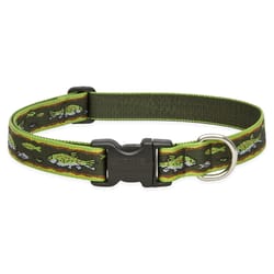 LupinePet Original Designs Multicolor Brook Trout Nylon Dog Adjustable Collar