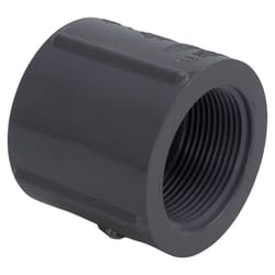 Charlotte Pipe Schedule 80 1-1/4 in. FPT X 1-1/4 in. D FPT PVC Coupling 1 pk