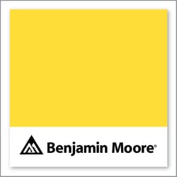 Benjamin Moore Bold Yellow 336