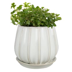 Trendspot Contour 5.5 in. H X 5.9 in. W X 5.9 in. D X 6 in. D Ceramic Planter White