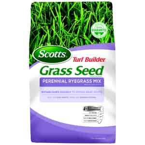 Scotts  Turf Builder  Perennial Ryegrass  Grass Seed  7 lb. 