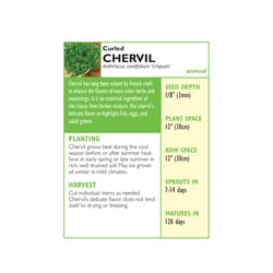 Lake Valley Seed Herb Seeds