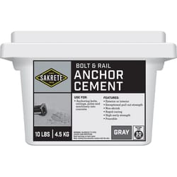 Sakrete Anchoring Cement 10 lb Gray