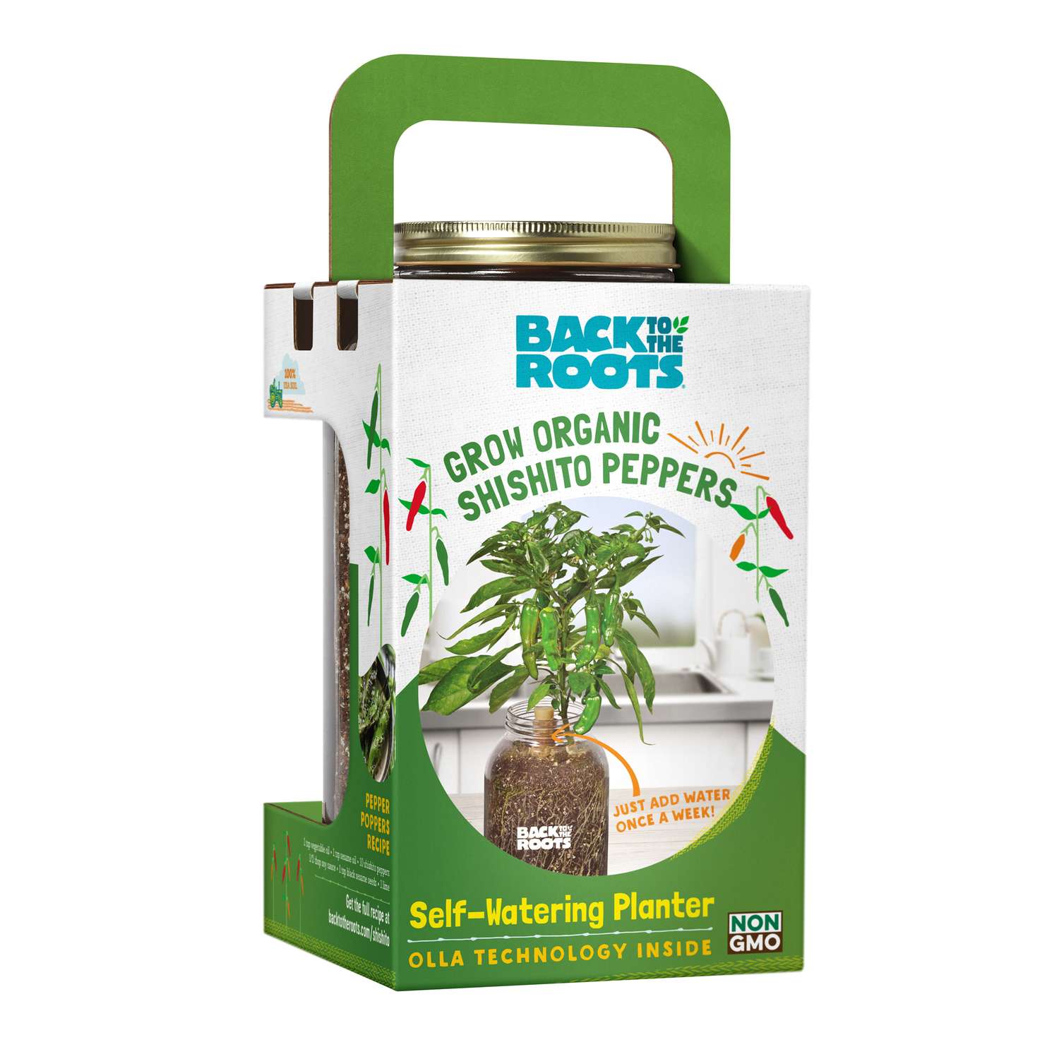 Back To The Roots Self Watering Planter Shishito Peppers Grow Kit 1 Pk Ace Hardware