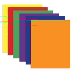 Bazic Products 11.71 in. W X 9.33 in. L Assorted Portfolio