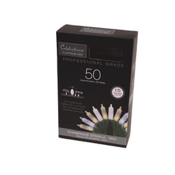 Celebrations Platinum LED T5 Pure White/Champagne 50 ct String Christmas Lights 25 ft.