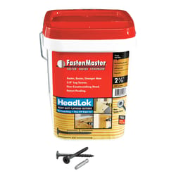 FastenMaster HeadLok No. 10 X 2-7/8 in. L Spider Epoxy Coarse Wood Screws 500 pk