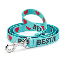 Up Country Teal Bestie Nylon Dog Leash