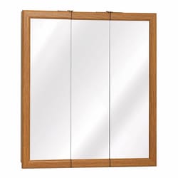 Zenna Home 26 in. H X 24 in. W X 4.5 in. D Rectangle Medicine Cabinet