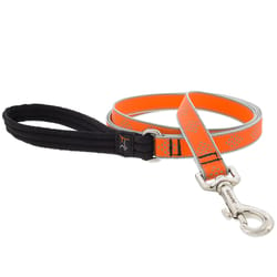 Lupine Pet Reflective Orange Diamond Nylon Dog Leash