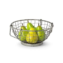 Spectrum 11 oz Silver Steel Fruit Bowl 1 pk