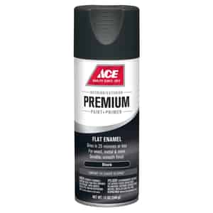 Hobby Paint Spray Paint At Ace Hardware